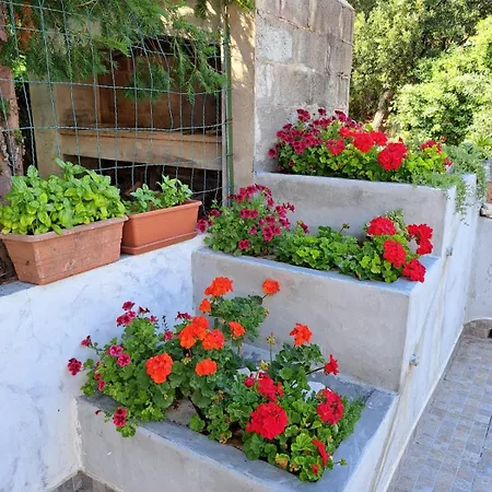 Domus De Mare Apartment Cala Gonone Exterior photo