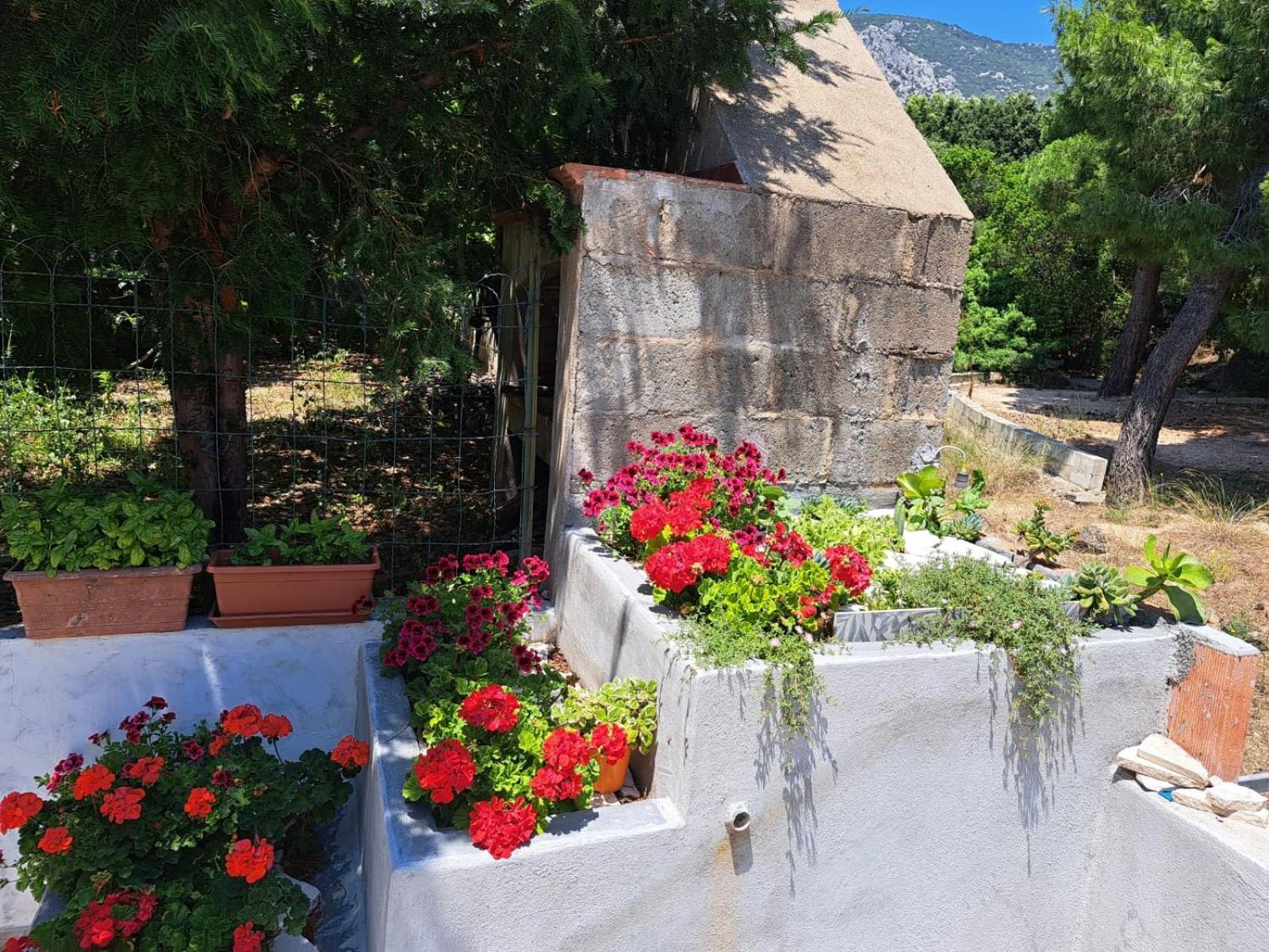 Domus De Mare Apartment *